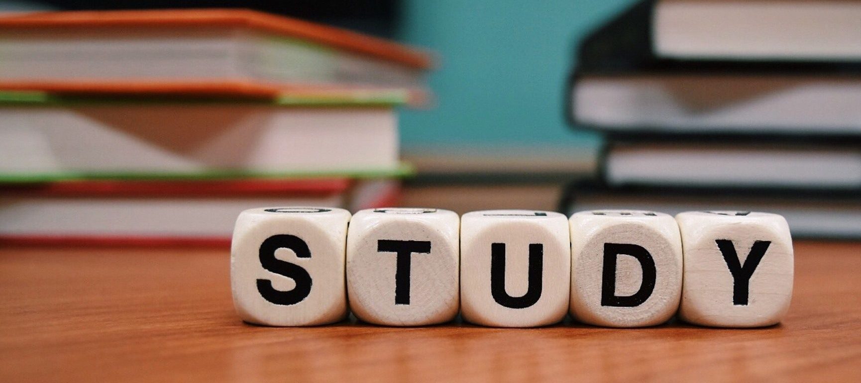 470176100_870554755239996_7976654189457340440_n